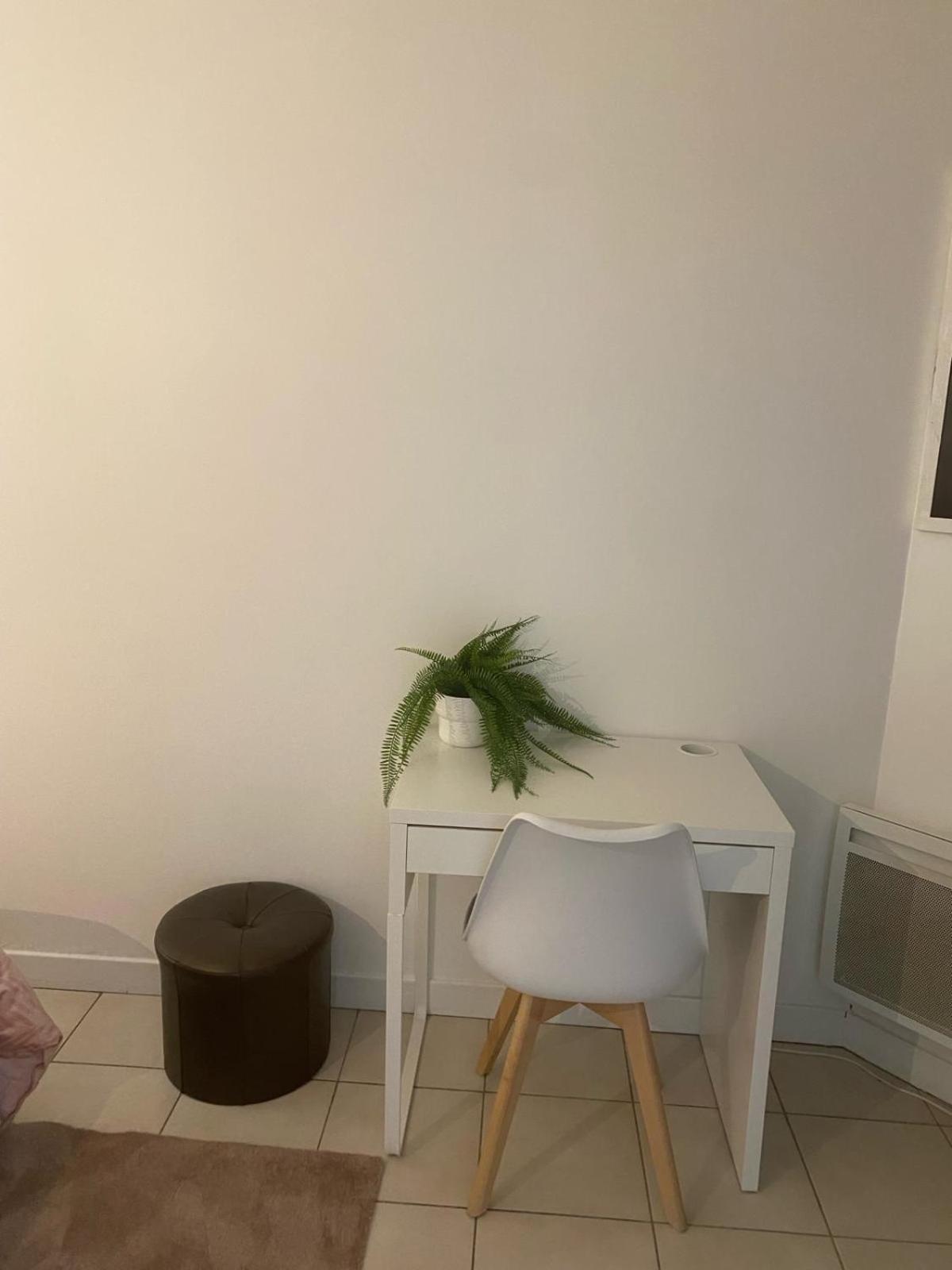 Super T2 Avec Piscine Lyon 3Eme公寓 外观 照片